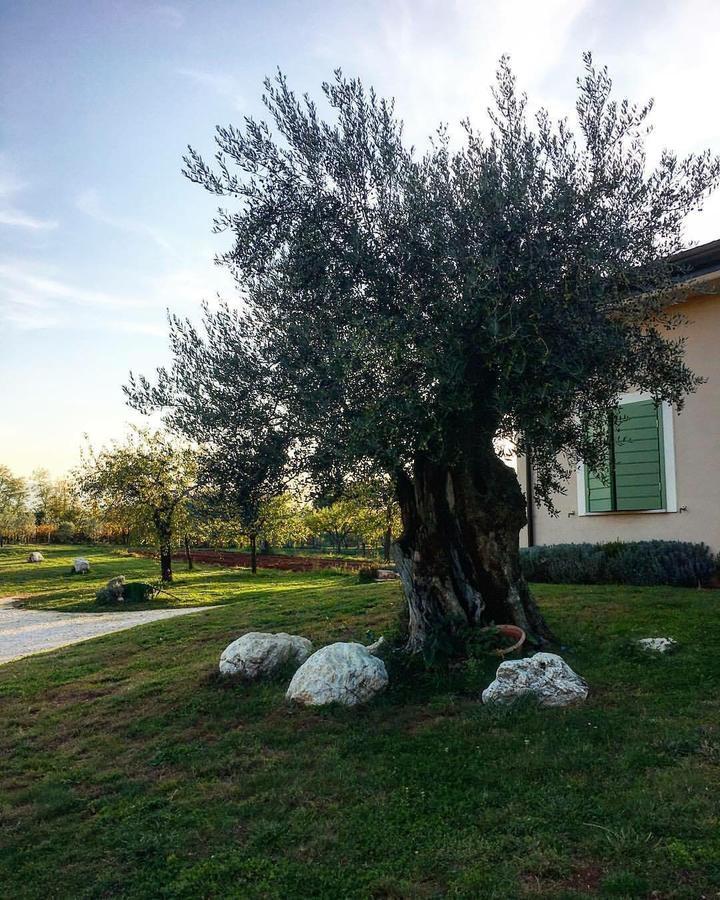 Agriturismo Di Charme Erbadoro Alvito Экстерьер фото