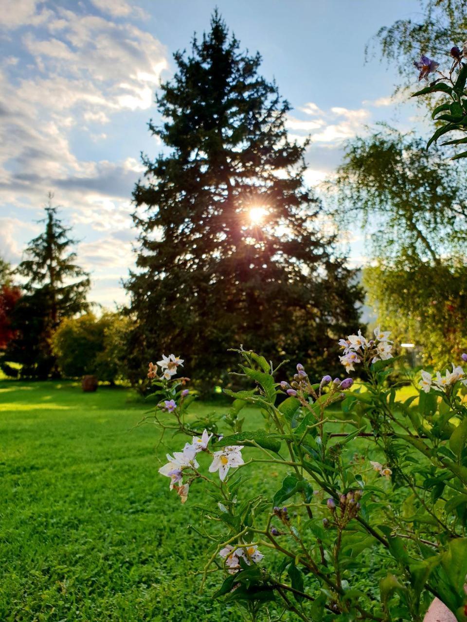 Agriturismo Di Charme Erbadoro Alvito Экстерьер фото