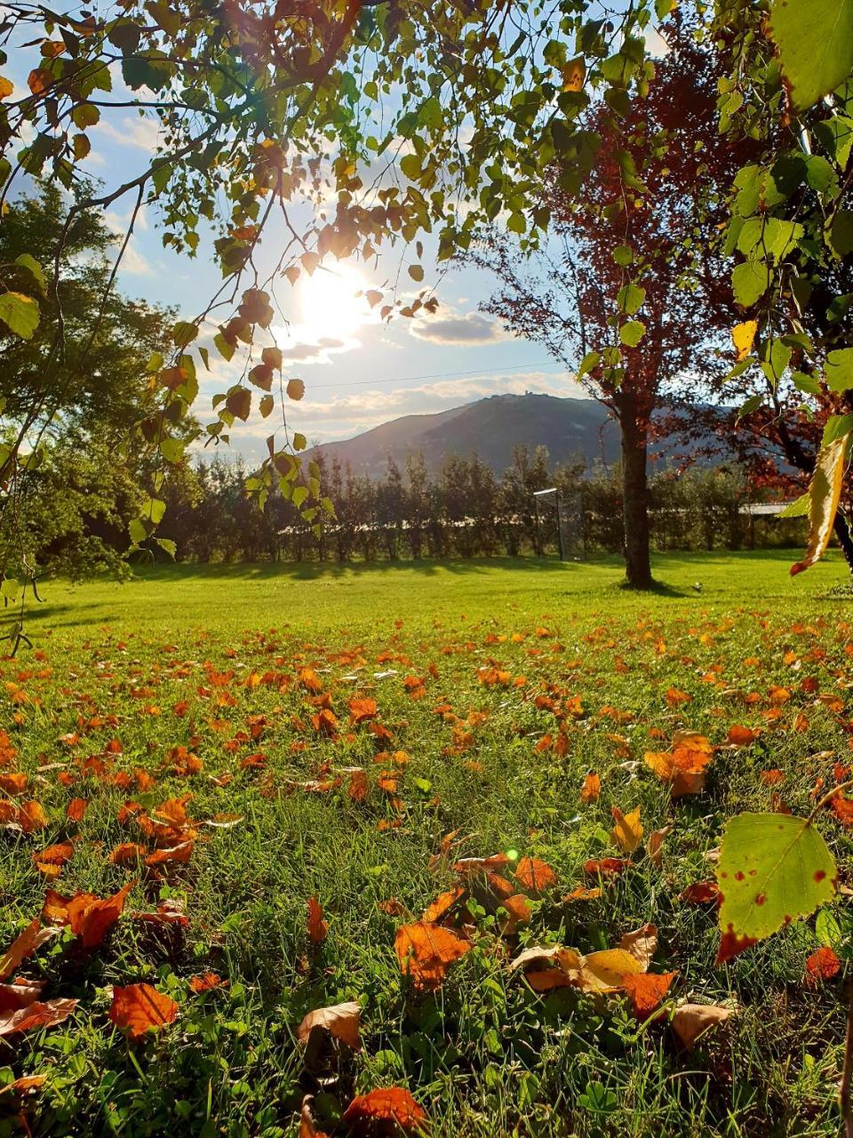 Agriturismo Di Charme Erbadoro Alvito Экстерьер фото
